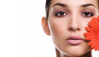 Fotolia_3710703_S-300x209